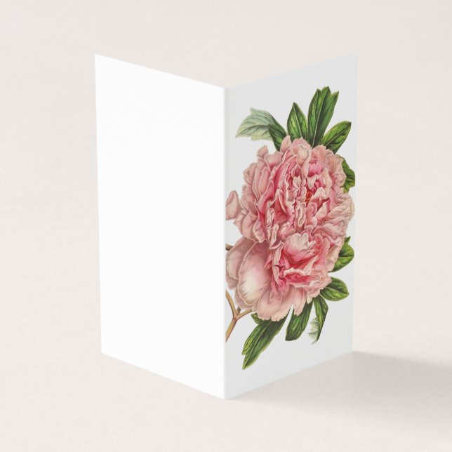 Cartão de saudação botânica de colônia de vintage (Exterior)