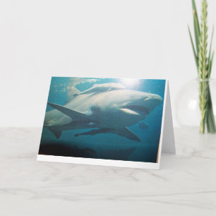Cartão de saudação Bull Shark