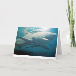 Cartão de saudação Bull Shark