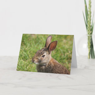 Cartão de Saudação Bunny