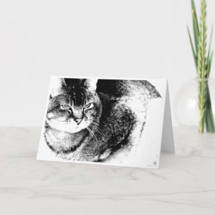 Cartão de Saudação Cat