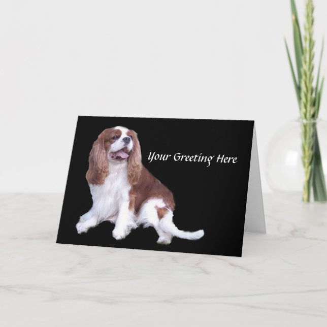 Cartão de Saudação Cavalier King Charles Spaniel (Frente)