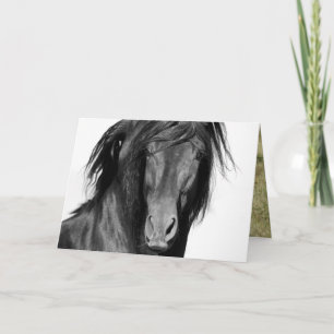 Cartão de Saudação Cavalo El Caballo Negro