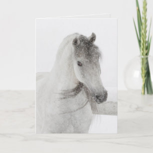Cartão de Saudação Cavalo - Mare Snowy Mischiev