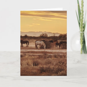Cartão de Saudação Cavalos Selvagens – Cavalo do P
