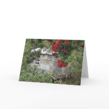 Cartão de Saudação Cênico NZ