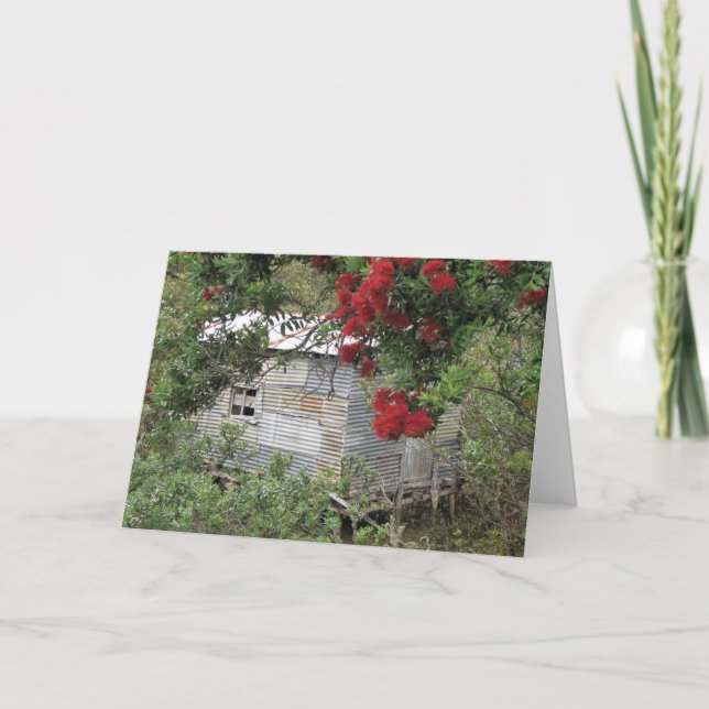 Cartão de Saudação Cênico NZ (Frente)