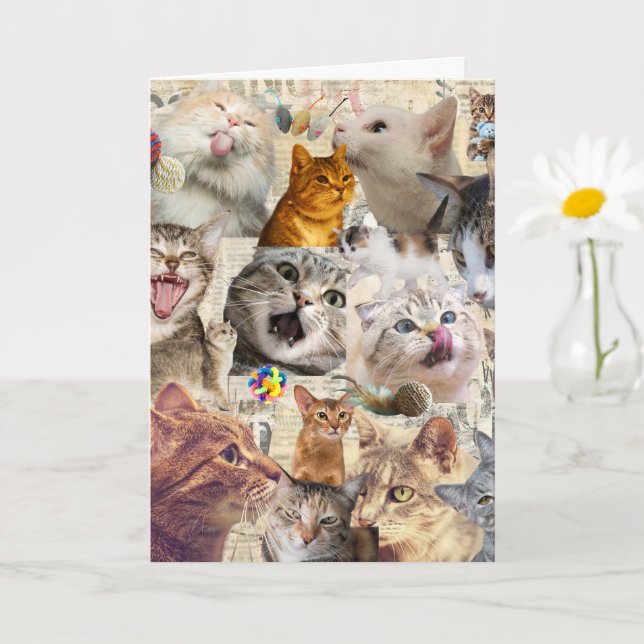 Cartão de Saudação Colagem de Gatos (Planta pequena)