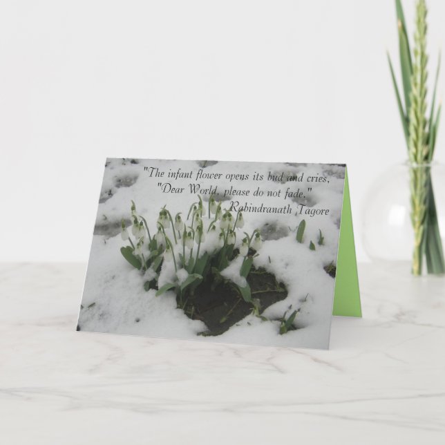 Cartão de saudação com citação cuidadosa (Frente)