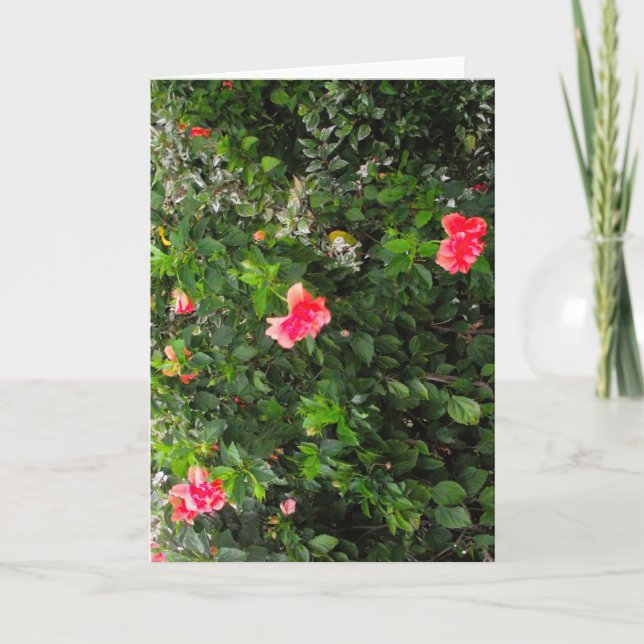 Cartão de saudação com flores cor-de-rosa (Frente)