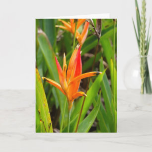 Cartão de saudação com flores laranja na capa