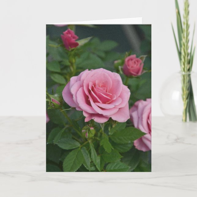 Cartão de saudação com impressão de rosas cor-de-r (Frente)