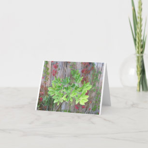 Cartão de saudação com lindas folhas numa cerca.