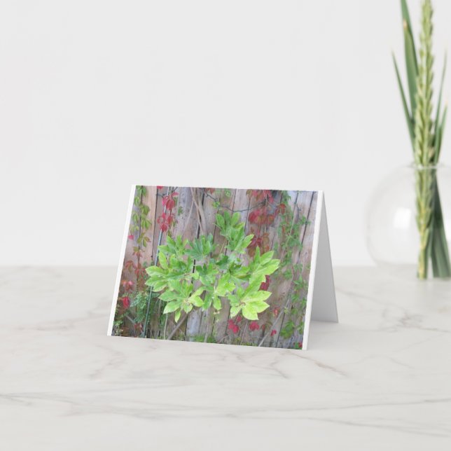 Cartão de saudação com lindas folhas numa cerca. (Frente)