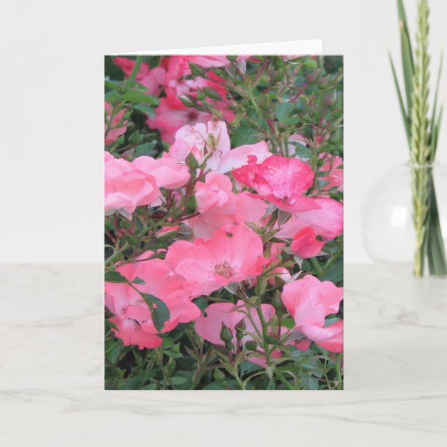 Cartão de Saudação com Rosas Rosa (Frente)