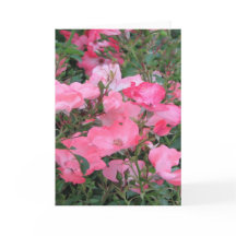 Cartão de Saudação com Rosas Rosa