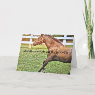 Cartão de Saudação CONNEMARA ESPECIAL