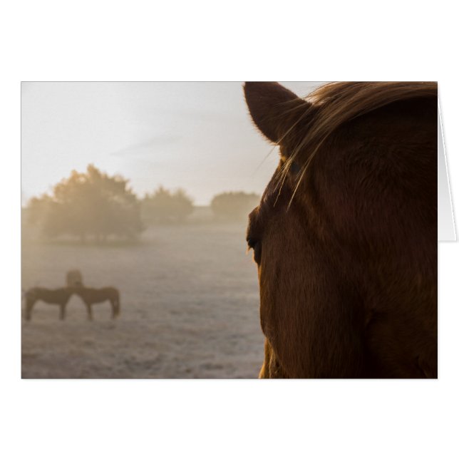 Cartão de Saudação Contínua (Frente horizontal)