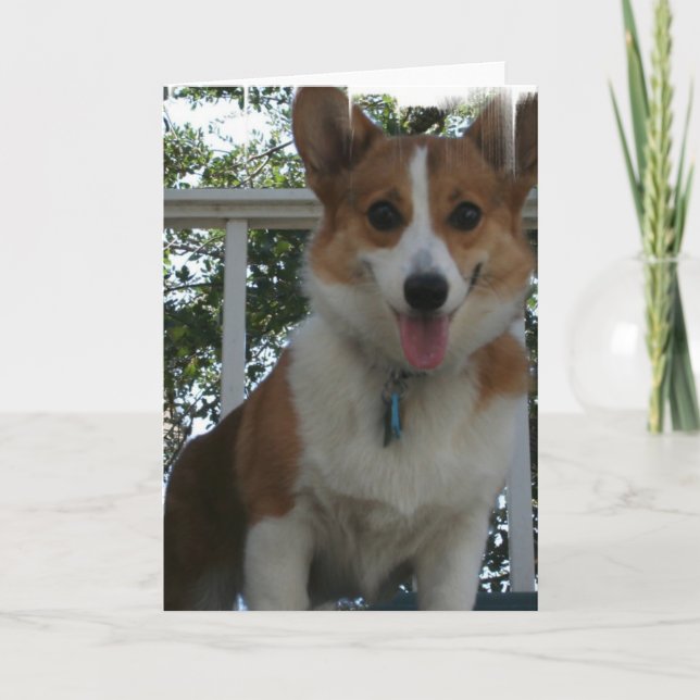 Cartão de Saudação Corgi (Frente)