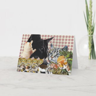 Cartão de Saudação Creative Cats