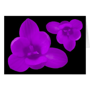 Cartão de Saudação Crocus Puro