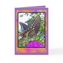 Cartão de Saudação da Borboleta do feliz dia de as
