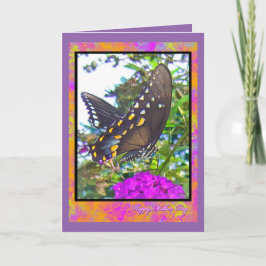 Cartão de Saudação da Borboleta do feliz dia de as