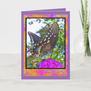 Cartão de Saudação da Borboleta do feliz dia de as