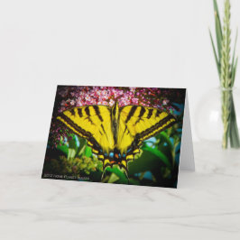 Cartão de Saudação da Borboleta Swallowtail