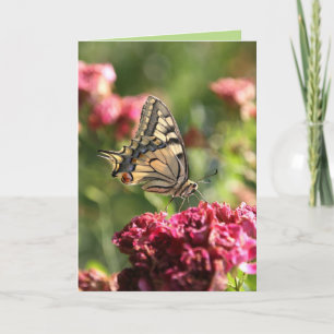 Cartão de Saudação da Borboleta Swallowtail Ama