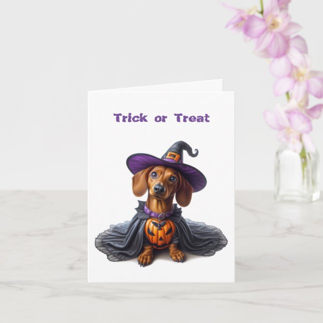 Cartão de Saudação da Bruxa de Dachshund Halloween (Orquídea)