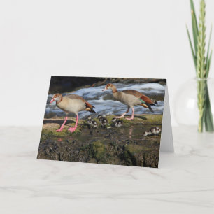 Cartão de Saudação da Família Geese Egípcia