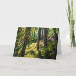 Cartão de Saudação da Floresta Sunlit (Vazio)