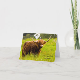 Cartão de saudação da Highland Cow