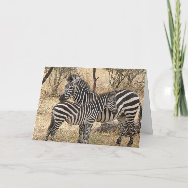 Cartão de Saudação da Mãe e Bebê Zebra (Frente)