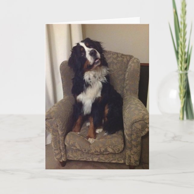 Cartão de saudação da Nação Berner (Frente)