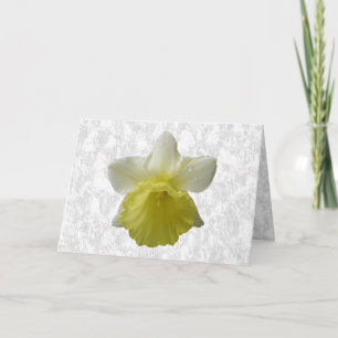 Cartão de Saudação Daffodil