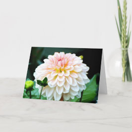 Cartão de Saudação Dahlia Rosa