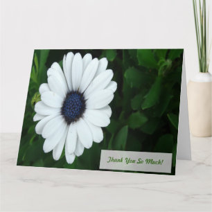 Cartão de saudação Daisy Africana