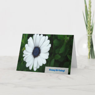 Cartão de saudação Daisy Africana