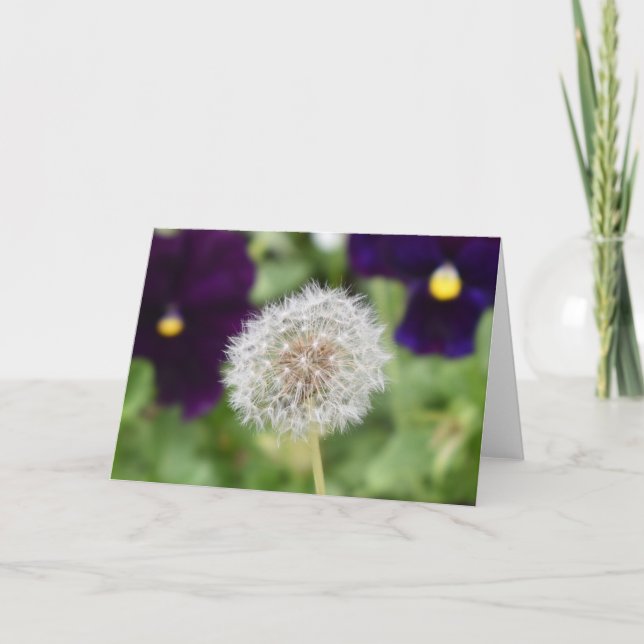 Cartão de saudação Dandelion & amor-perfeito (Frente)