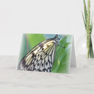 Cartão de Saudação das Asas da Borboleta