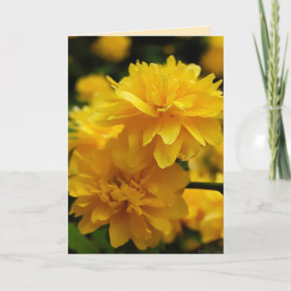 Cartão de Saudação das Flores Amarelas Pequenas