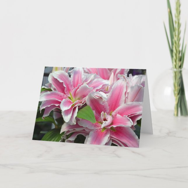 Cartão de saudação das flores lírios, cor-de-rosa (Frente)