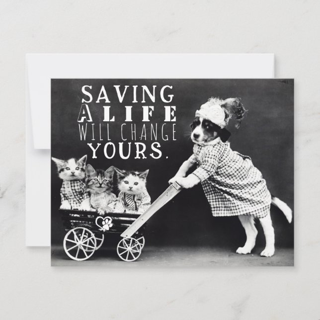 Cartão de Saudação de Adoção e Salvamento de Cães  (Frente)