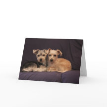 Cartão de Saudação de Amizade Especial