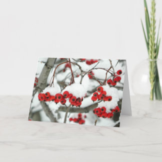 Cartão de Saudação de Amoras Neves