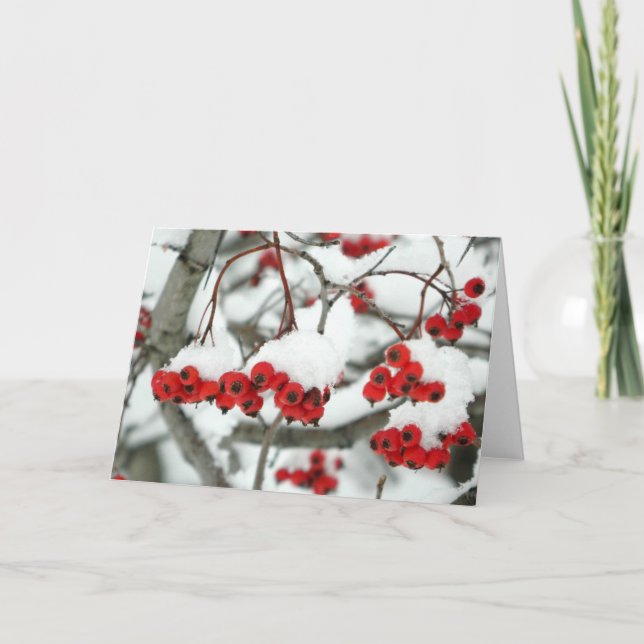 Cartão de Saudação de Amoras Neves (Frente)