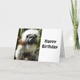 Cartão de saudação de aniversário, com macaco giro
