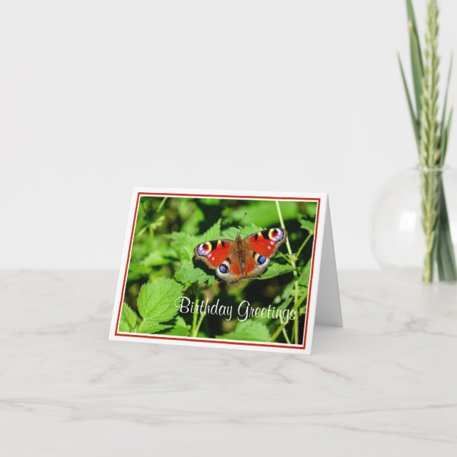 Cartão de Saudação de Aniversário da Borboleta Pea (Frente)